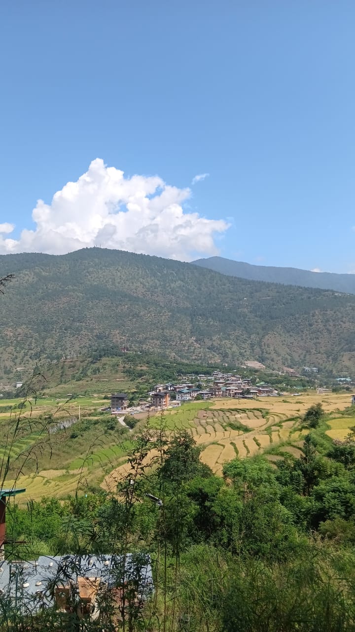 Bhutan Hills